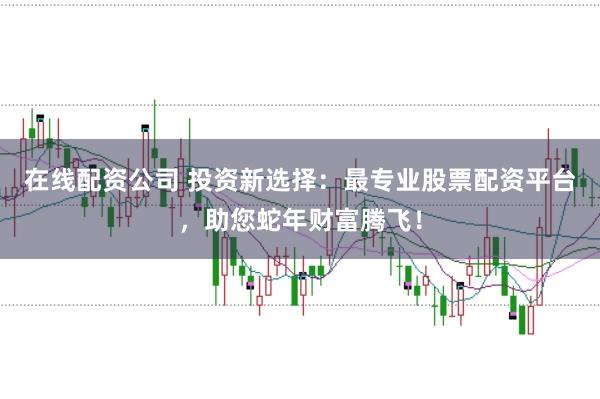 在线配资公司 投资新选择：最专业股票配资平台，助您蛇年财富腾飞！