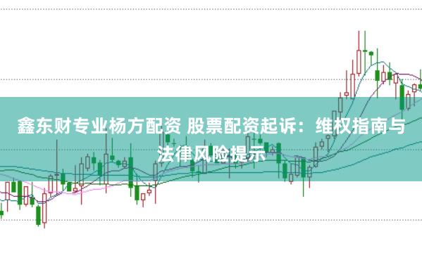 鑫东财专业杨方配资 股票配资起诉:维权指南与法律风险提示