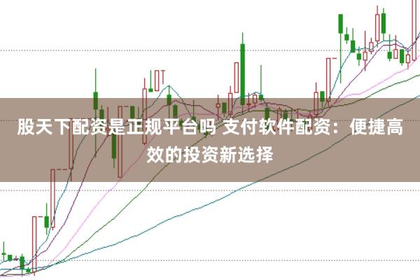 股天下配资是正规平台吗 支付软件配资：便捷高效的投资新选择