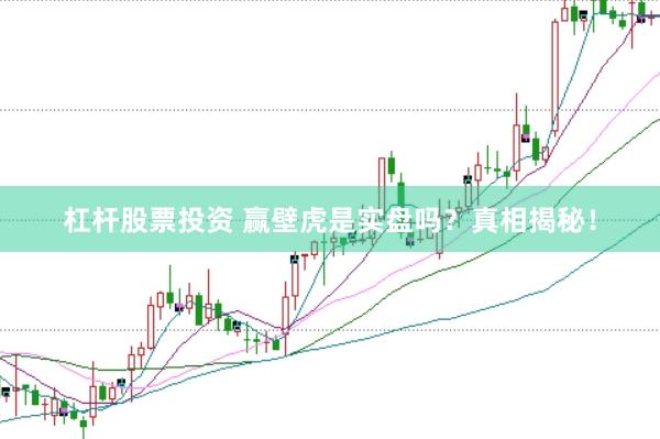 杠杆股票投资 赢壁虎是实盘吗？真相揭秘！