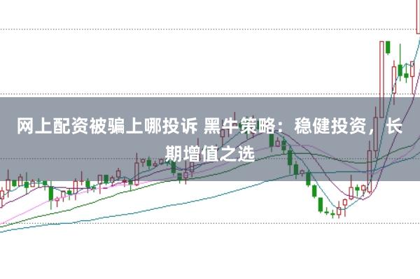 网上配资被骗上哪投诉 黑牛策略：稳健投资，长期增值之选