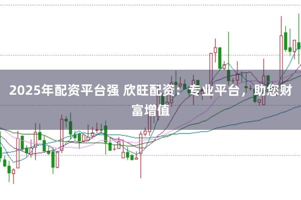 2025年配资平台强 欣旺配资：专业平台，助您财富增值