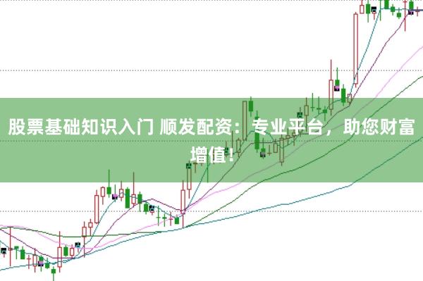 股票基础知识入门 顺发配资：专业平台，助您财富增值！