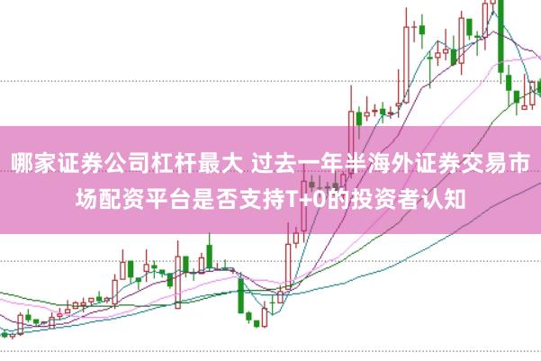 哪家证券公司杠杆最大 过去一年半海外证券交易市场配资平台是否支持T+0的投资者认知